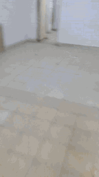 البيت الايجار المعلمين المشتل يحتوي على غرفتين نوم واستقبال وصاله ومطبخ وحمام ومساحت كراج جبيره ملاحظه البيت بي حديقة خلف البيت 
***********
