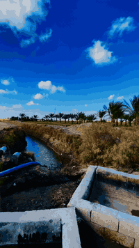 بستان مساحه١٠دونم متوفر ماء وكهرباء وشارع لاستفسار ***********
