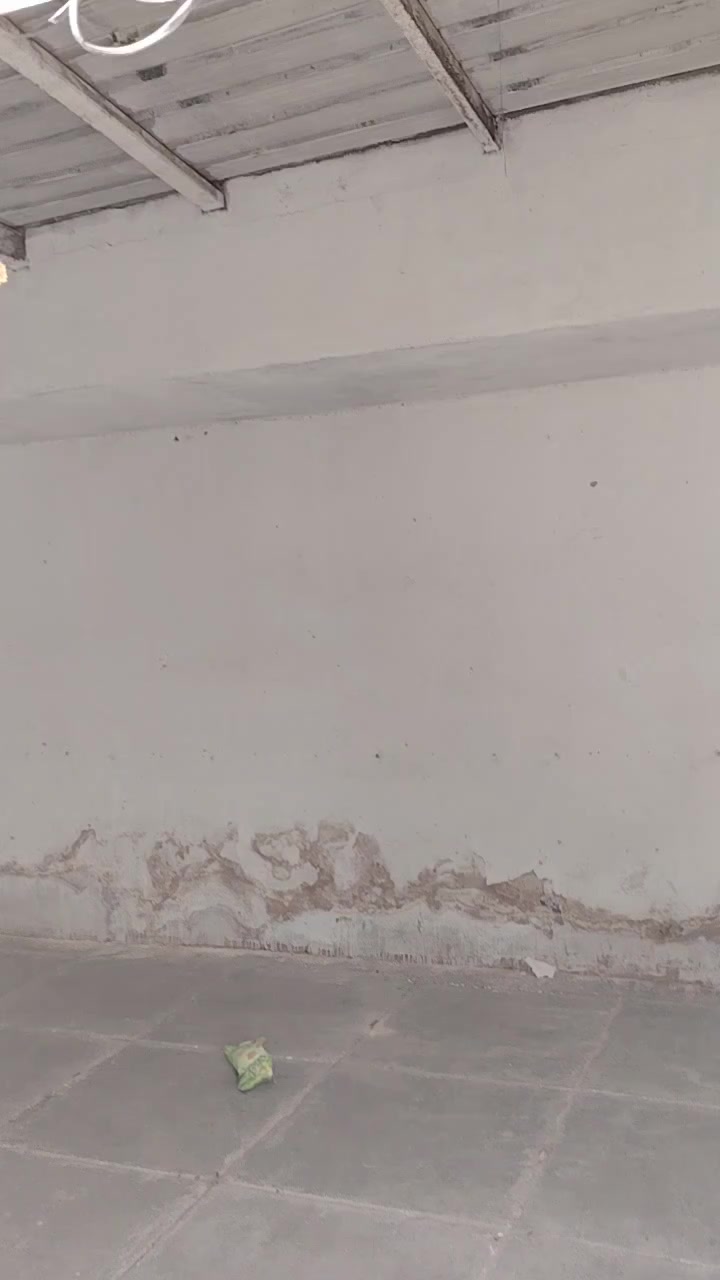 بيت تجاوز مساحه 300 متر كما موضح بالفديو
العنوان مقابل بانزيخانه الكياره بفرع اسواق و افران المختار
يتكون من استقبال و ٣ غرف و مطبح و صحيات و مساحه كللش كبيره
السعر 22 و بي مجال
للاستفسار
***********
