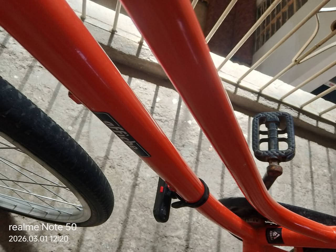 سلام عليكم ✋🏿 عندي هذه الباسكل حجم 26 موديل 21 الباسكل حيل نضيف مكاني موصل حي  الثوره السعر 85وبي مجال للطيبين ولوتي 🩴 خاص مفتوح تحياتي


**إذا كنت صاحب هذا الإعلان وتريد حذفه لأي سبب، رجاءا أرسل رسالة إلى الدعم الفني**