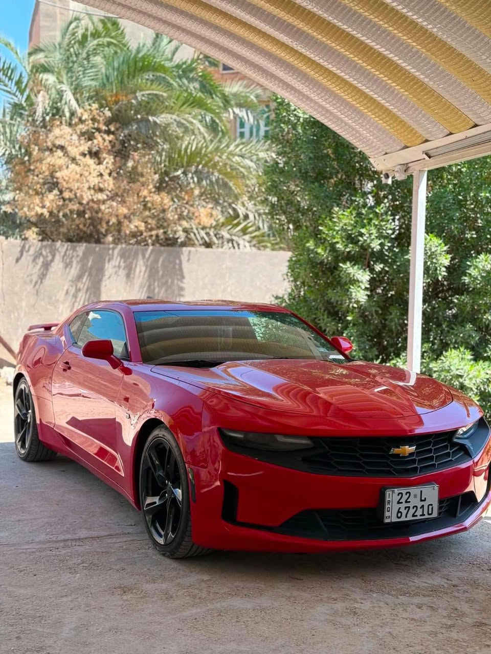 ***********
للبيع او المراوس
للي يدور جمال + نظافة + قوة بين سيارات الـ V6

🚗 كمارو RS – 6 سلندر
🔹 موديل:2020
🔹 اللون: أحمر (طماطي)
🔹4 مودات قيادة + كير 10 نمر 🚀
🔹 تشغيل بصمة + تشغيل عن بُعد 🔑
🔹 هاندبريك كهرباء – كاميرا دوّارة – كشنات كهرباء
🔹 شاشة CarPlay أصليه
🔹 عليهه برمجه كلش حلوه 

📍 المسافة:50 ألف ميل فقط
📍 الرقم: أربيل باسمي وتحويل مباشر
⚙️ المحرك والكير بكفالة
💥 حادث خفيف: جاملغ خلفي + وربع الباب مال الصد ملاون 

📍 الموقع: بابل : حله
