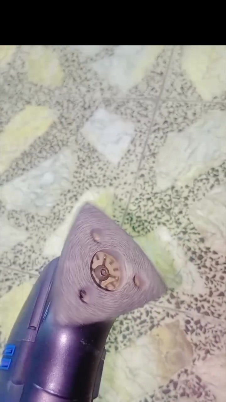 للبيع ب٥٠ الف


**إذا كنت صاحب هذا الإعلان وتريد حذفه لأي سبب، رجاءا أرسل رسالة إلى الدعم الفني**