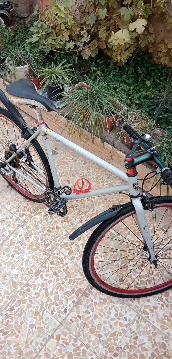 عندي هذا الباسكل للبيع يجي مع تايات احمر مال سباق و الويل اصلي ما شركة و مع تايات سود ايضاً  الباسكل ما بي اي عيب بس محتاج افلوس او اعرض مع سوني 4 راس باراس الباسكل ماركه عالمي خفيف و الكير و المكينة اصليات
السعر ٢٠٠ او اعرض مع سوني فور   يجي كامل مع الاغراض و القفل و كلشي


**إذا كنت صاحب هذا الإعلان وتريد حذفه لأي سبب، رجاءا أرسل رسالة إلى الدعم الفني**