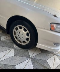 تخم ويل كرسته للبيع 200بي مجال 07837436712