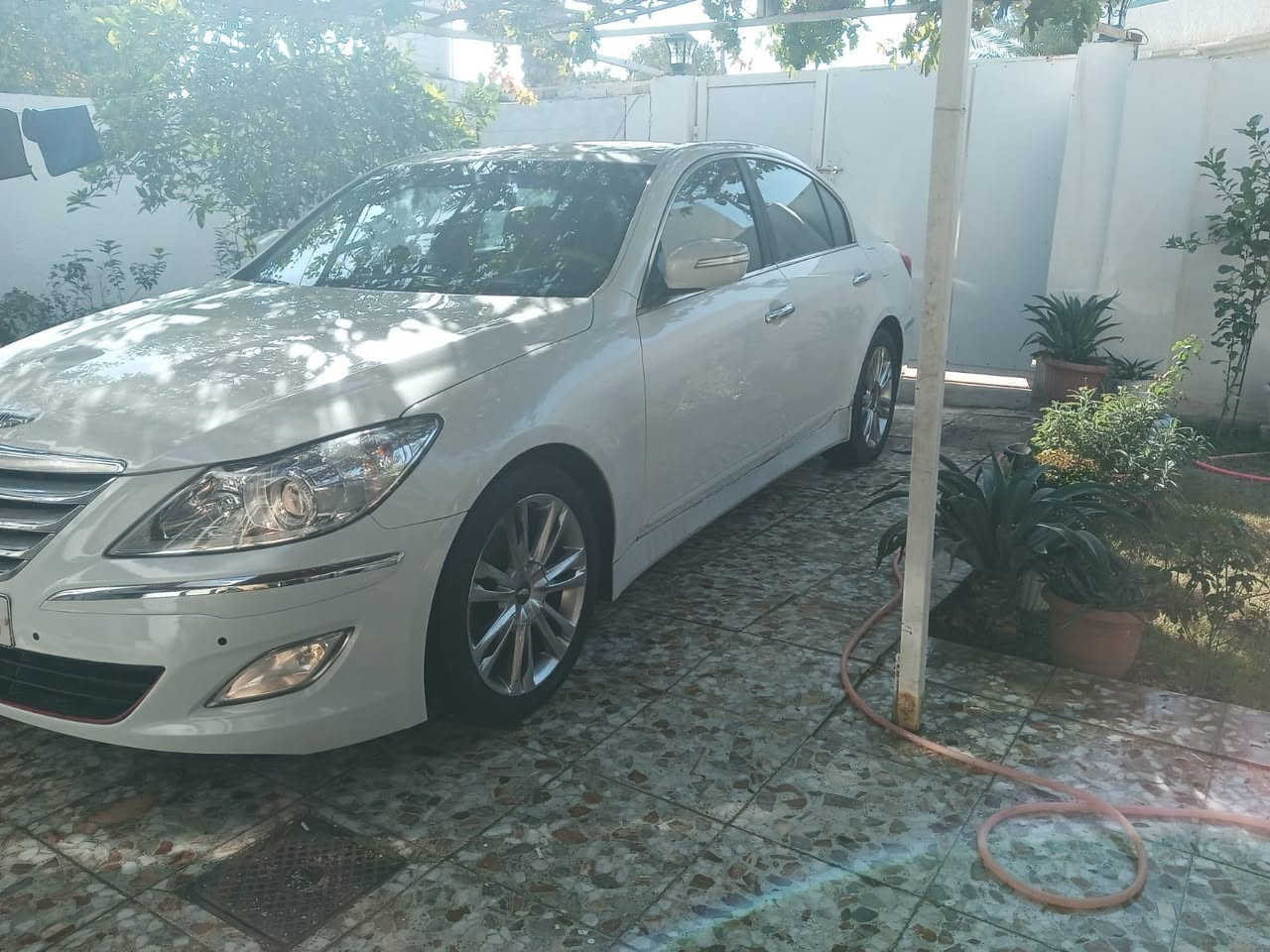 سلام عليكم
السعر :  120  ورقة وبيها مجال
جينيسيس 2013 رقم بغداد بأسمي تحويل مباشر مجدد كلشي هزة وسنوية 
فول مواصفات للاخير كلش 
حجم المكينة : 6 سيلندر3800 المرغوب 
السيارة جاهزة  
المواصفات 
-بصمة 
-فتحة 
كشنات حضن كهربائي (2) 
-اشاير مري +3 قطع تبريد 
-بردة كهربائية 
-ستيرن كهرباء +خزن ميموري  
-شاشة +كامرة + حساسات كلة ( بلاد) 
 بيها 3قطع صبغ وسونار موجود 
للاستفسار :***********
