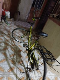 باسكل 26 • مصبوغ • كربلاء الحسينية