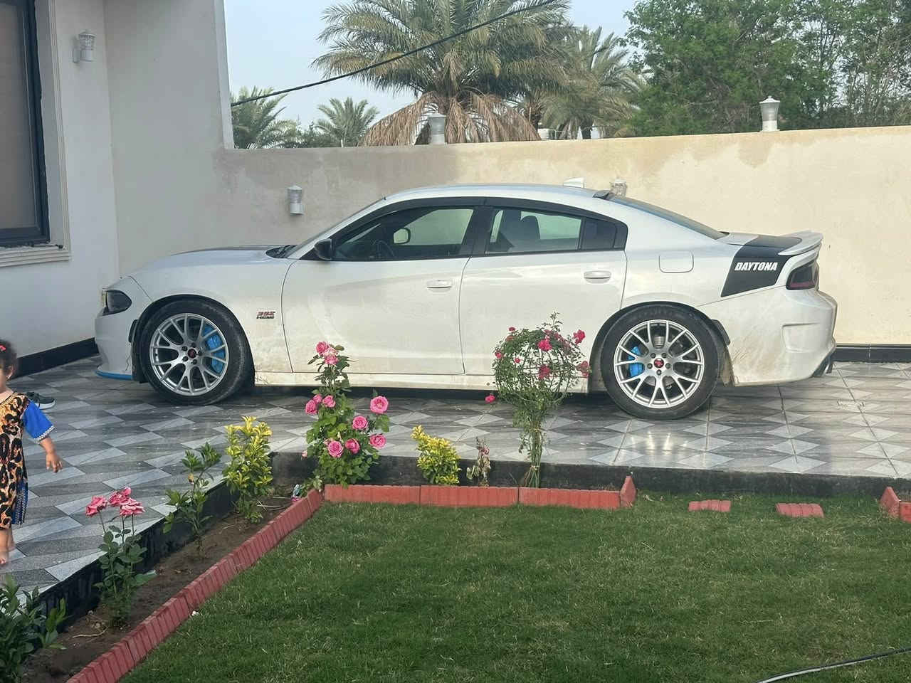 السلام عليكم RT موديل2021بيه3قطع صبغ جاملغ وبنيد وطخه بل الجاملغ الخلفي وبي رش سعره185مكلف بل النشر للستفسار اكثر***********
