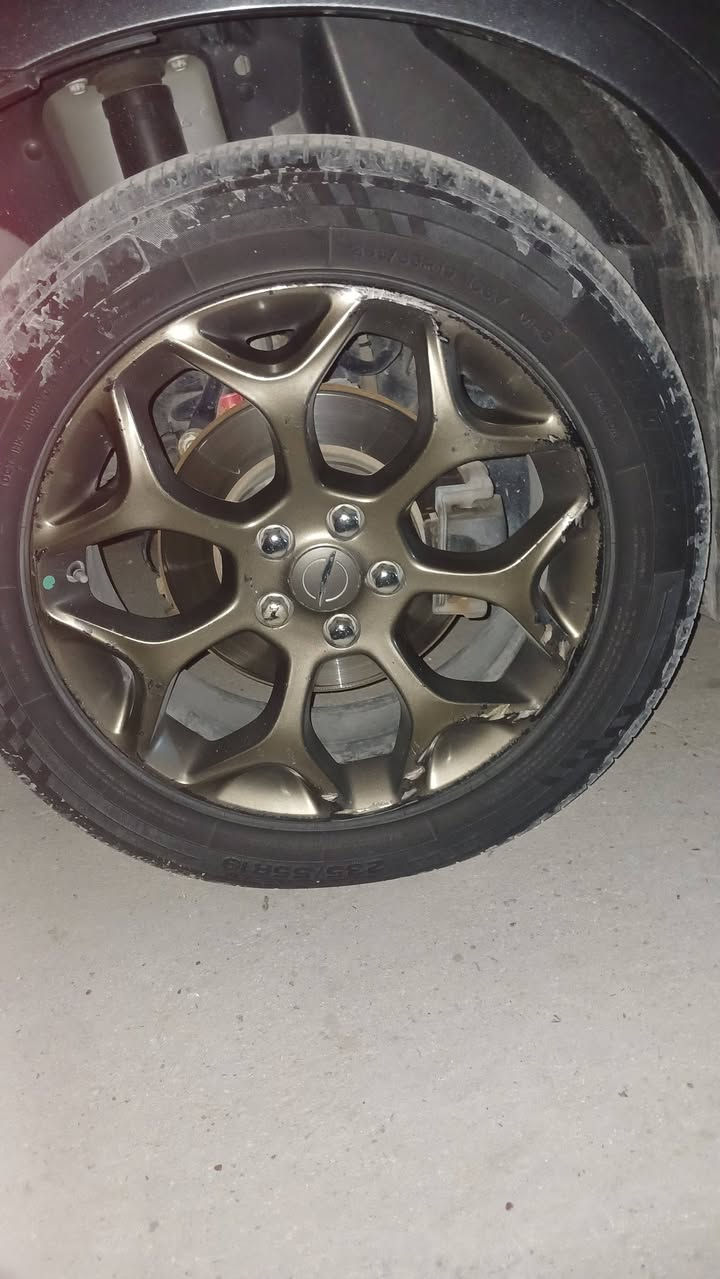 سلام عليكم اخوان عدي هاذه الويل عنكبوتي حجم 19 اريد اراوسه بكروم او بوليسي او مكسيكي حجم18 اي ستفسار  *********** مكان بغداد
