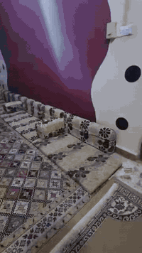 تخم ديوان • ٧×٤ • كوت