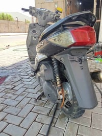 سكنس فحل • نوزل خطين • زنون