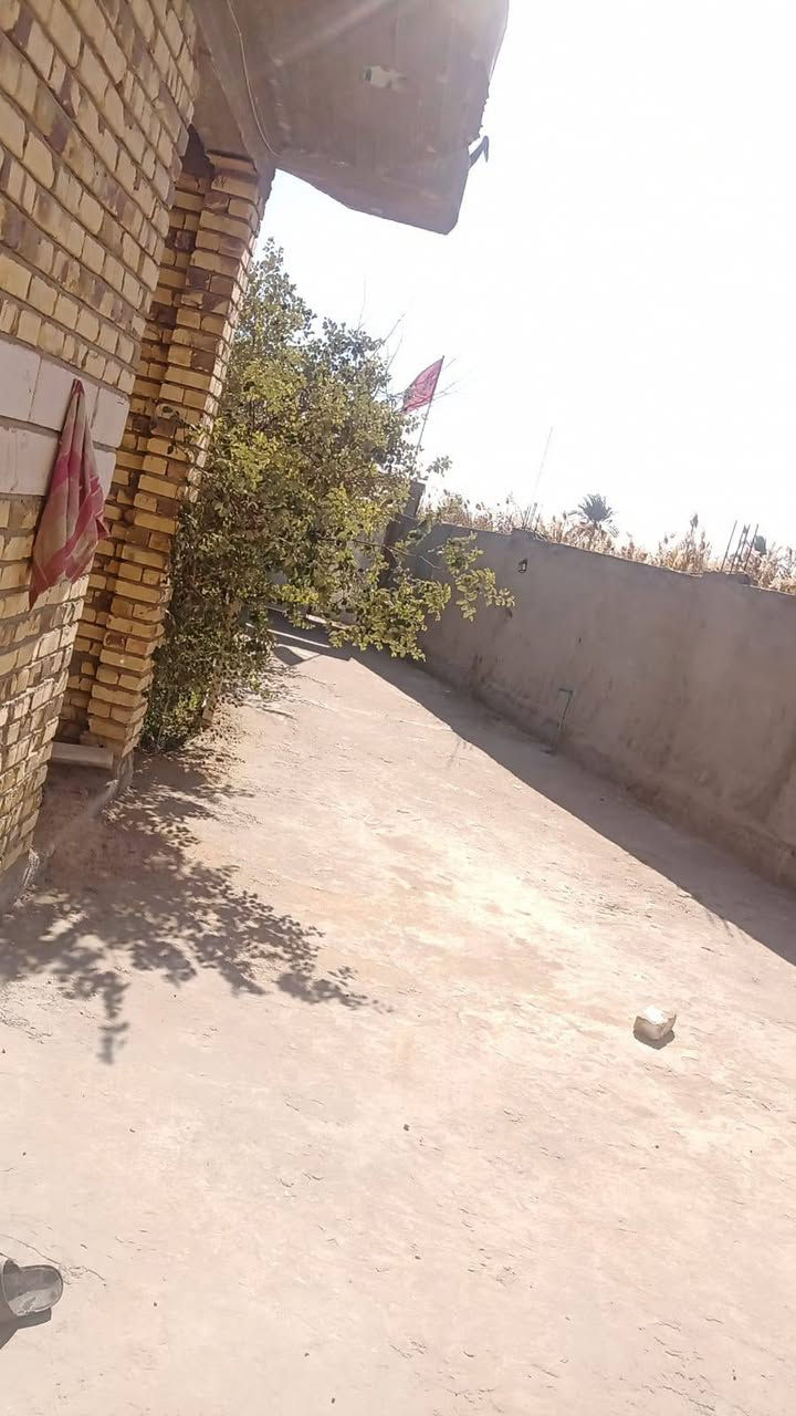 السلام عليكم بيت للبيع مساحته 265متربناء جديد طابوك صب مسلح يتكون من غرفتين وصاله واستقبال ومطبخ حار وبارد ومجمع صحيات وكراج وحديقة العنوان طويريج الجدول الغربي منطقة عبد عوينات قريب على الشارع الحولي للاستفسار ***********
