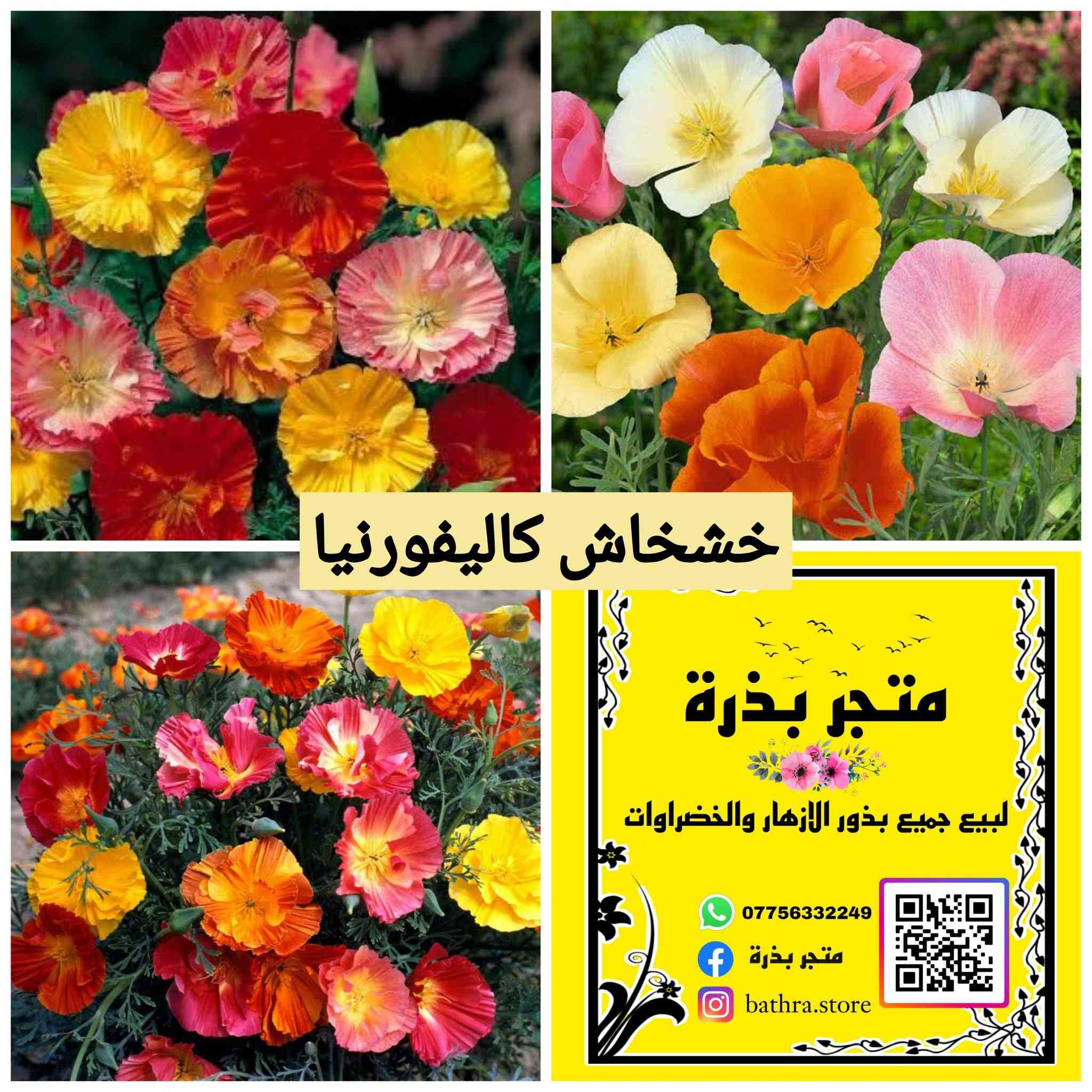 السلام عليكم ✋
متوفر مغلفات بذور منها موسمية ودائمية البذور تاريخ انتاجها ٢٠٢٥-٢٠٢٤ وتاريخ انتهاء ٢٠٢٨-٢٠٢٧ وقسم الى ٢٠٣٠

♦سعر المغلف  ١٥٠٠ دينار ♦

توصيل جميع المحافظات ٥٠٠٠

للتواصل مراسلة الصفحة او التوصل على الواتس اب على الرقم ***********
