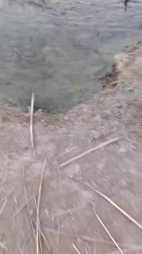 للبيع 
ارض زراعيه
مساحه 4  دونم
كهرباء
ماء  
ماطور ماء سقي 
كافه الخدمات 
تبعد عن الشارع العام 
500 متر 
نزله البو ناهض
للاستفسار 
مراجعه مكتب السنيه للعقار 
قرب جامع السنيه الكبير 
***********
