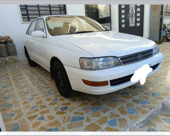 فرخ بطة للبيع شرط بدون صبغ
وضع شركة تبريد شغال هزة جديدة رقم دولي سنوية 2031 السيارة بسمي كاربون الكتروني
السعر 62$
***********
***********
