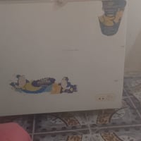 مجمدة • رويال • البصرة الزبير
