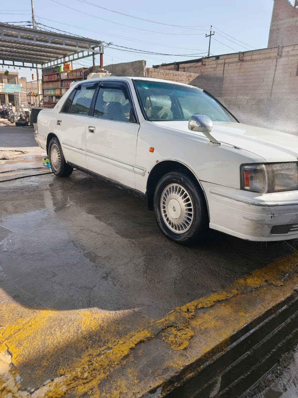 السلام عليكم راس ثور نظيفه للبيع مكان النجف رقم بغداد***********@عباس البدير ي
