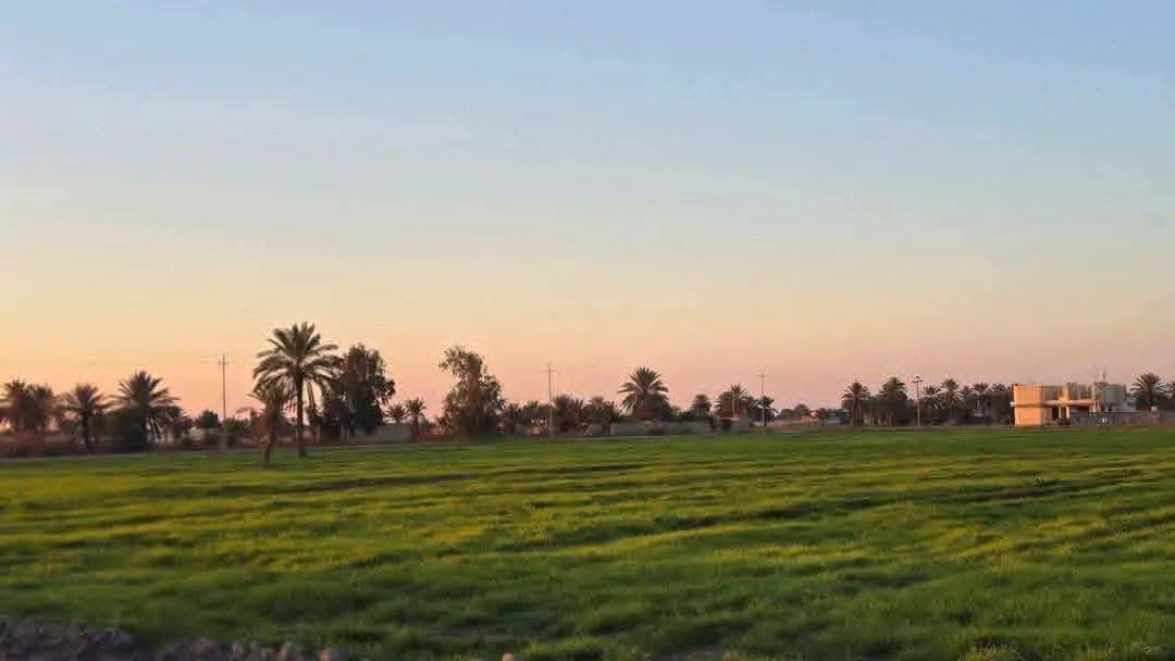 #استغل_الفرصة_الذهبيةوأستثمراموالك_قربسريع . 💎
#للبيع 🌍 المساحة 15دونم
    

📌 بغداد - التاجي- ذراع دجلة - منطقة الشيخ عامر تحديدآ منطقة العيساويه  جميع الخدمات متوفر ) 🔯

   🟨 تكون واجهة دونم الواحد الوجهه 50 والنزل 50 
   🟩السعر الدونم 9وبي مجال 

🟨 متوفر خدمات - تجي وتشوف بعينك مو بس كلام 💎
🟨ماء اسالة قريب 
🟨1- ماء سقي نهر رئيسي من ذراع دجلة
🟨2- كهرباء مدار 24 ساعه
🟨3- تبليط ثاني قطعة - سوق - مجمعات طبية - مدارس - سكن 

         شروط ضمان حقك 💎
 ما اخذ منك فلس الة بعد تثبيت حدود الأرض واسلمك مرتسم بل أرض مالتك وافتحلك بيان في التسجيل العقاري 
ثاني يوم يكون فتح بيان 

صار عندك تفاصيل كاملة أعلاه ✔️

للستفسار ***********
