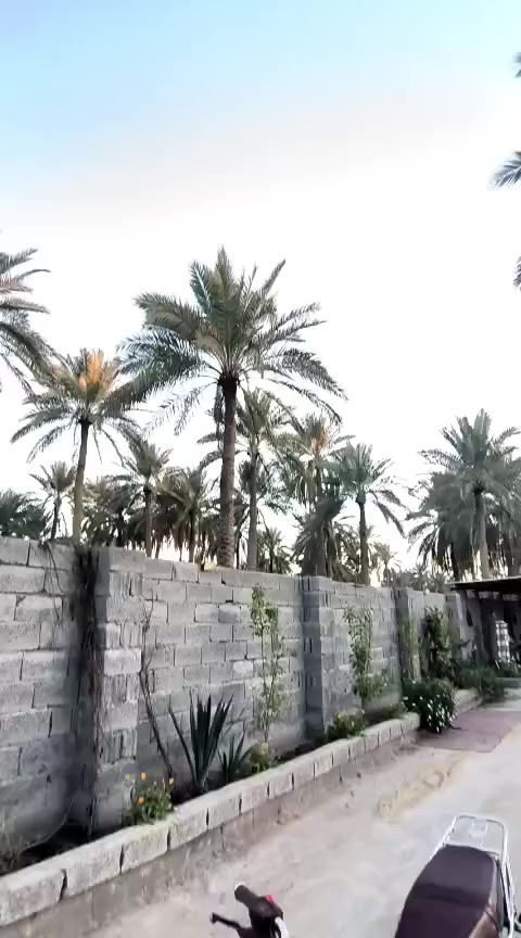 سلام عليكم دراجه تايكر مديل 2023 طالعه 2024 /12/21 مكينه 150 أوراق سكنر محرك ما مفتوح كفاله عامه وتجي بعينك تشوف الشراي يتصل عله هاذه الرقم ***********وبي خير ويدلل السعر 700 وبي مجال للطيبين
