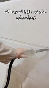 منظف بخاري محمول • RAF R.1028 • ١٠٠٠ واط