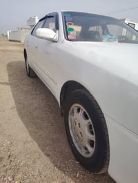 كرستا • مكفولة • ضربة وصبغ