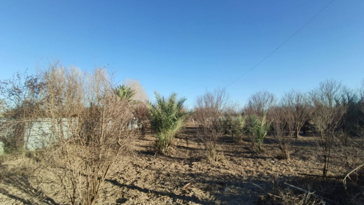 ياالله
البيع 1000متر في بغداد منطقه الراشديه

جنس العقاري سند ٢٥ تحويل بأسم المشتري يتوفر فيه جميع الخدمات ماء اساله وماء روئي وكهرباء ويوجد فيه نخيل وحمضيات للأستفسار اتصل على رقم او مراسلة سعر ٧٠بيه مجال ترهم ستثمار وه مزرعه متنفس الك ***********
