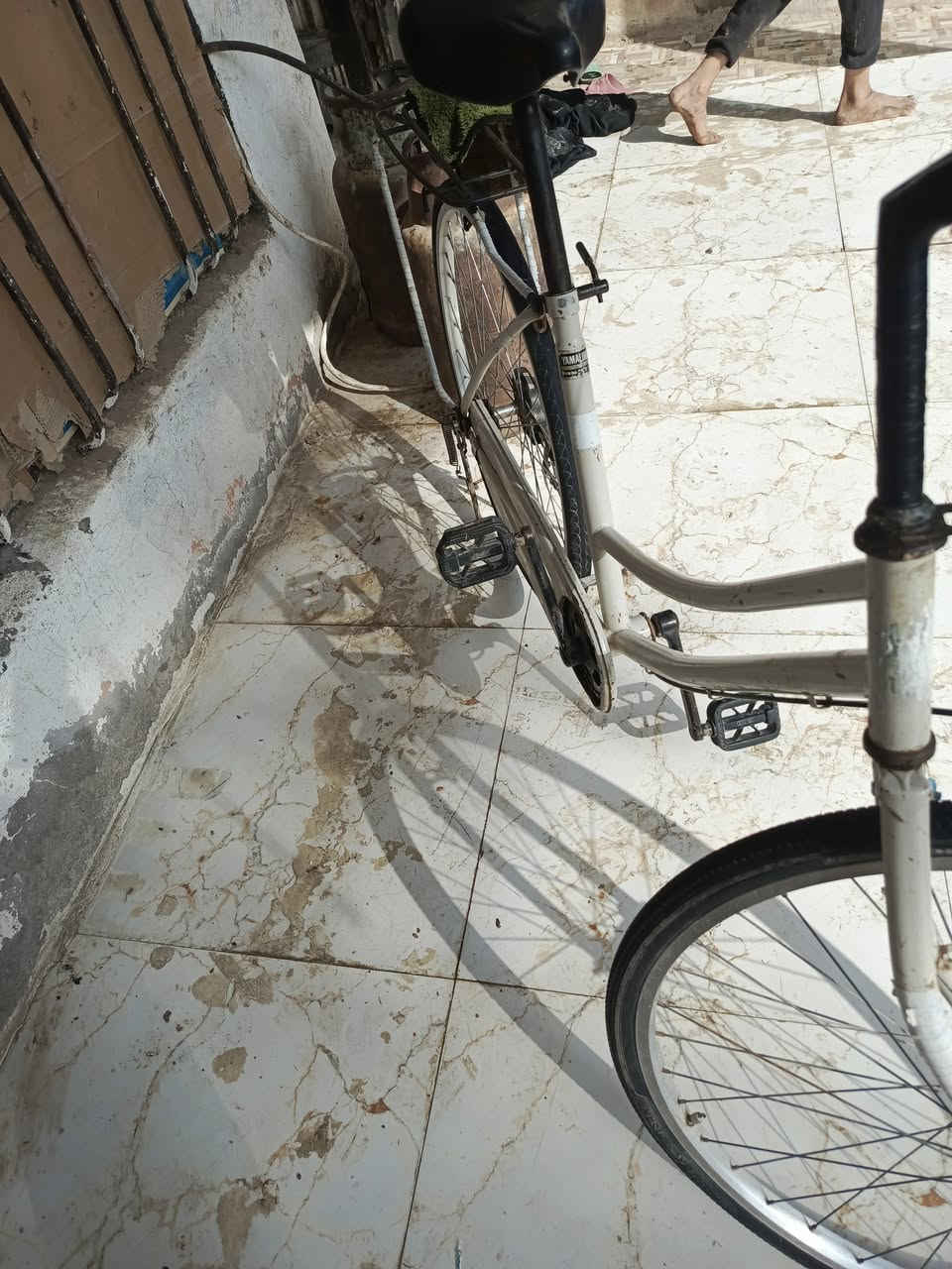 سلام عليكم باسكل البيع باسكل جديدونضيف الباسكل شوفت عينك الباسكل او مراوس بدرجه خاص مفتوح


**إذا كنت صاحب هذا الإعلان وتريد حذفه لأي سبب، رجاءا أرسل رسالة إلى الدعم الفني**