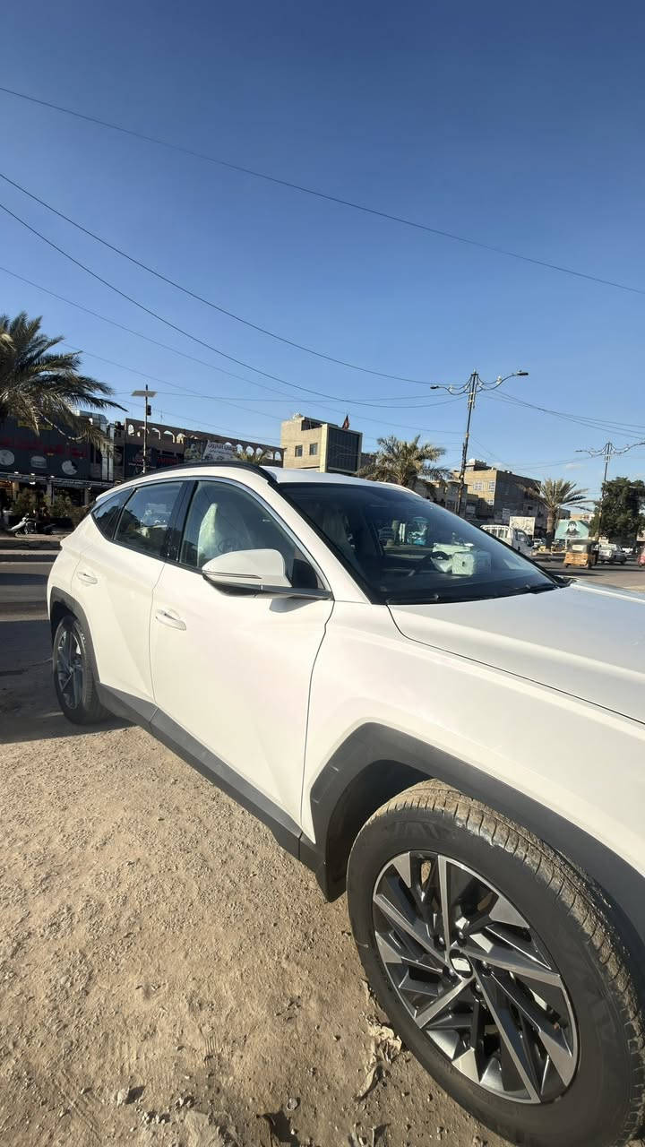 توسان 2024
خليجي 
مكاني بغداد مدينه الصدر 
السعر 217
الرقم ***********
