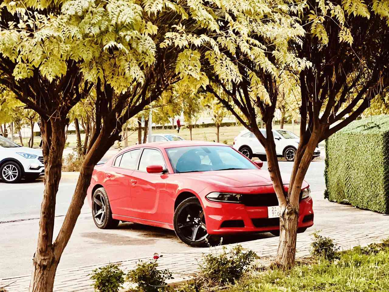 2022 sxt v6جارجر 
255$
للتواصل ***********
