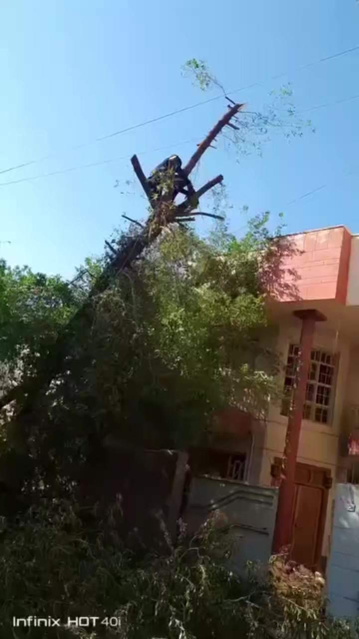 تقطيع الشجار ونخيل في بغداد 
كرخ ورصافه وساب 
***********
*********** @الجميع
