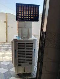 شغاله • نضيف • حجم كبير