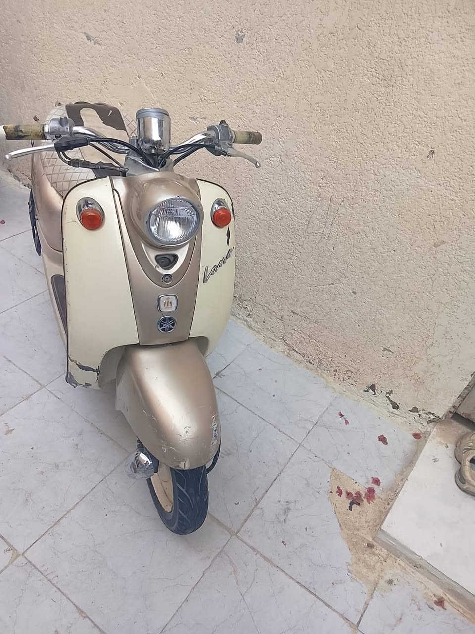 السلام عليكم مصريه للبيع دراجه حلوه مكينه شرط ناعمه كير مكفول مابي صوت أشاير هورن لايت شغال ناصرية مركز السعر 300رقم ***********
