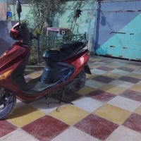 جاهزة • مراوس • ثعلب