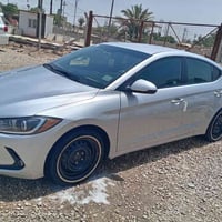 النترا • ٢٠١٨ • وارد أمريكي