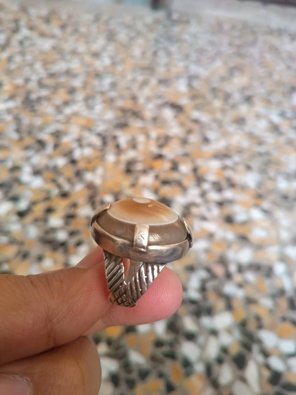 بقري للبيع السعر 65    ***********
