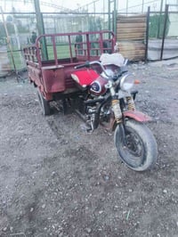 ستوته دايوان • ٢٠١٦ • بغداد الشعلة