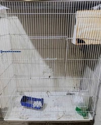 قفص طيور • مستعمل • ميسان العماره