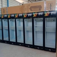 عارضات يوقر تركي • درجة اولى • بابل القاسم