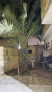 حي الامامين • ٢٢٠م • سند ٢٥