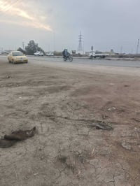 شارع حله بغداد • ٧٠٠م • أرض زراعية