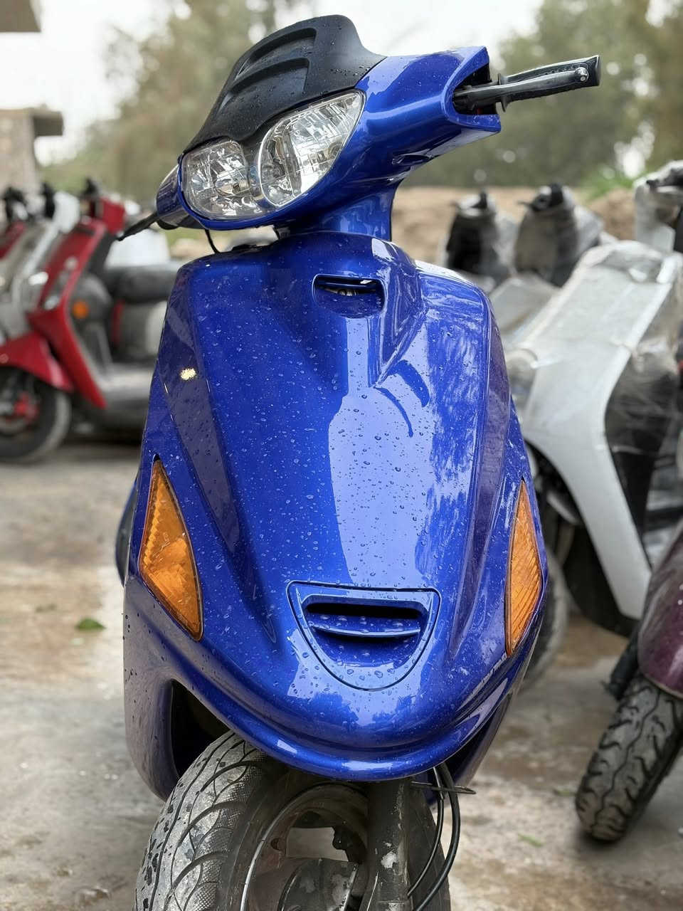 السلام عليكم ورحمة الله وبركاته تم بعونه تعالى وصول دراجات مختلفة باله ياباني وجديد زيرو عنوان المعرض بعقوبة فلكة الفلاحة مقابل مجلس محافظة ديالى يتوفر نظام بيع بل قسط بدون مقدمه لحاملي ماستر الرافدين فقط للاستفسار اكثر الاتصال عل الرقم ***********
