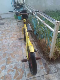باسكلين • ياباني اصلي • ميسان
