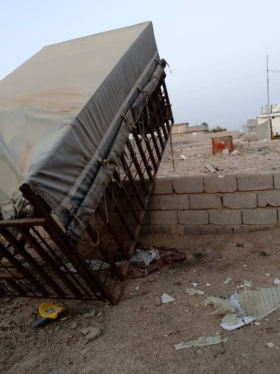 محجل كيه فحل للبيع هوه والجادر المكان فلوجه الاتصال ع الرقم *********** بي وتساب
