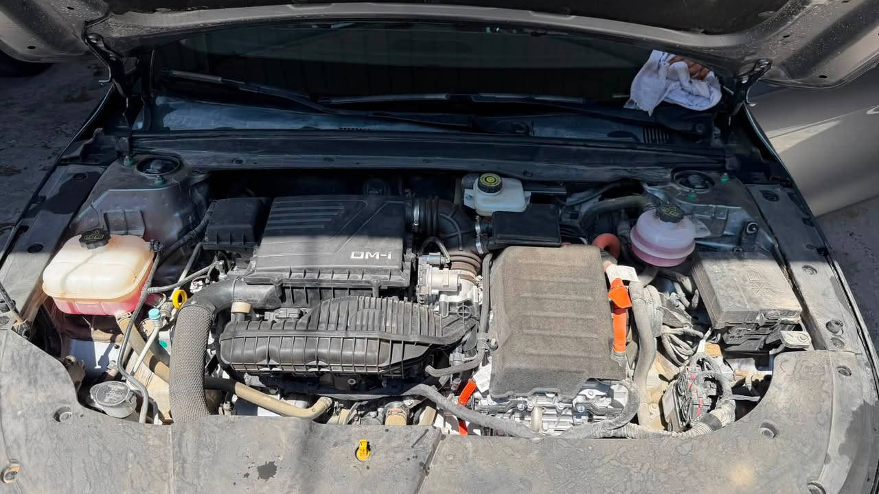 دستروير BYD كفالة عامة ماعدة الدعاميات شخوط بسيطة مال دراجات موضحة بصور ممحسوبه ع السونار السيارة ع ايدي  ماشية 19500 قابل للزيادة دهن كله الكسادو الترة ب17 وبانزين محسن السيارة خير من الله كل غراضهة موجودة باسمي رقم بغداد  هزة جديدة شرط التحويل عليهة غرامة 400 تنزل من السعر مكانهة سماوة 
للاستفسار ***********
