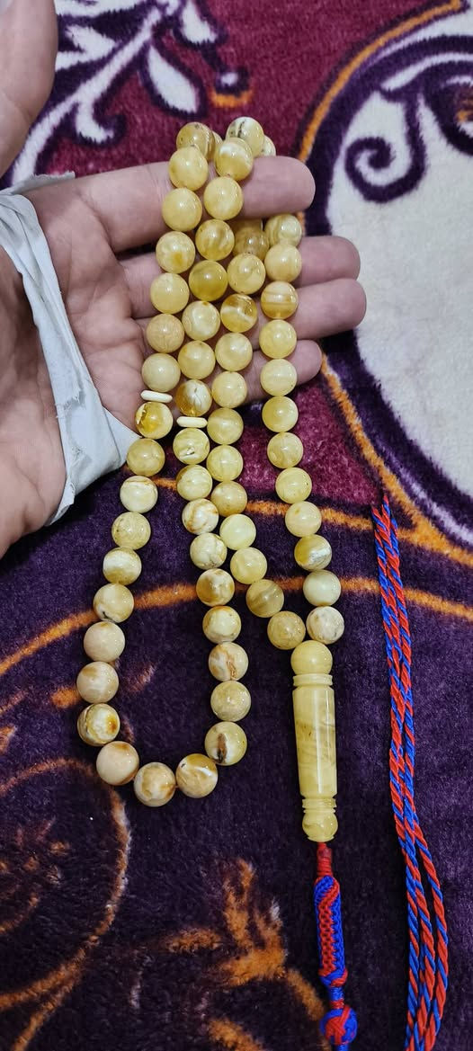 كهرب بولوني كلوحده وسعره المهتم يتفضل عله الرقم ويدلل
***********
