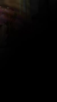 عطور نسائية • نقاء بلا حدود • العراق