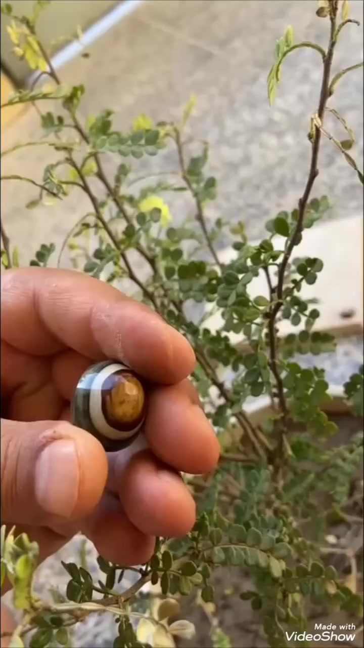 اجمل واروع انواع العقيق اليماني الوازعي الطبيعي 
المكفول.بماذا يتميز الجزع الوازعي؟ وماهي فوائده. الجواب يعبر عن صاحبه.


**إذا كنت صاحب هذا الإعلان وتريد حذفه لأي سبب، رجاءا أرسل رسالة إلى الدعم الفني**