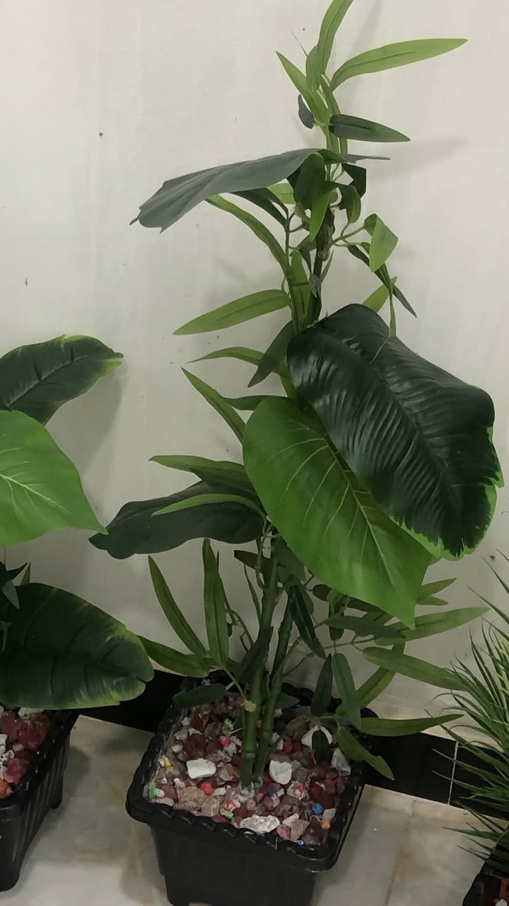 للبيع بغداد الشعب كل سبعه ب٥٠


**إذا كنت صاحب هذا الإعلان وتريد حذفه لأي سبب، رجاءا أرسل رسالة إلى الدعم الفني**