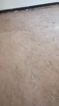 نجف • واتساب • خدمات