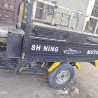 ام الطير • ستوته • ٢٠١٩