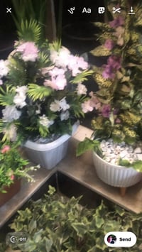 بغداد الشعب • ديكور • حديقة